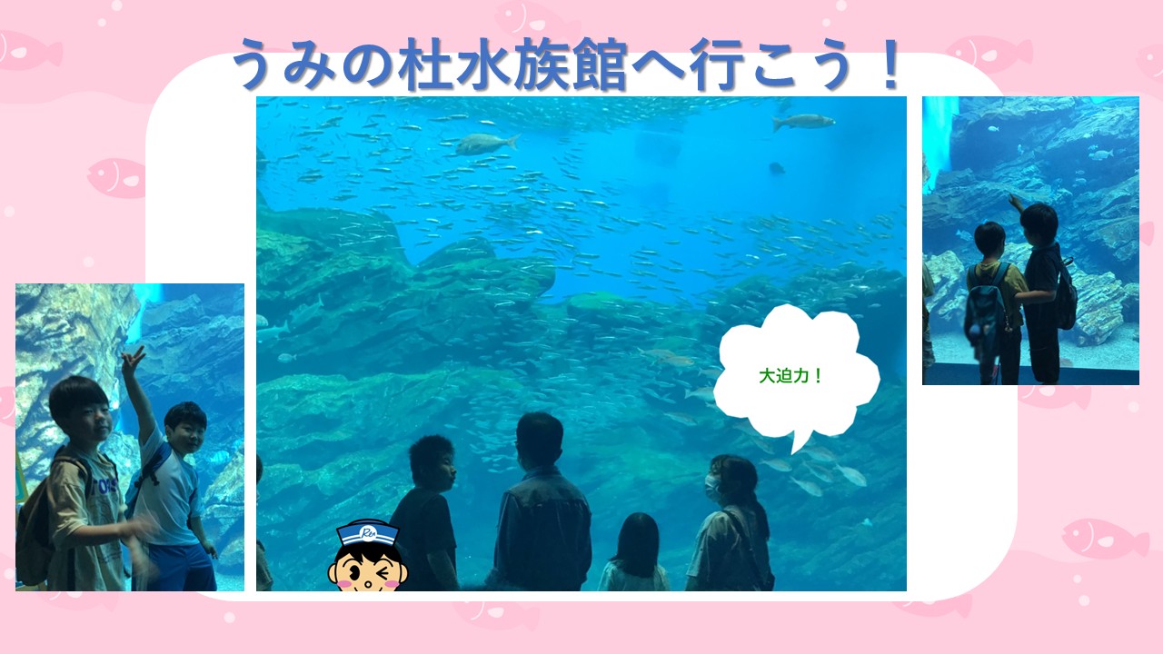 Center image: large aquarium tank filled with fish and silhouettes of viewers; speech bubble reads '大迫力！' on a pink decorative background with smaller side photos.