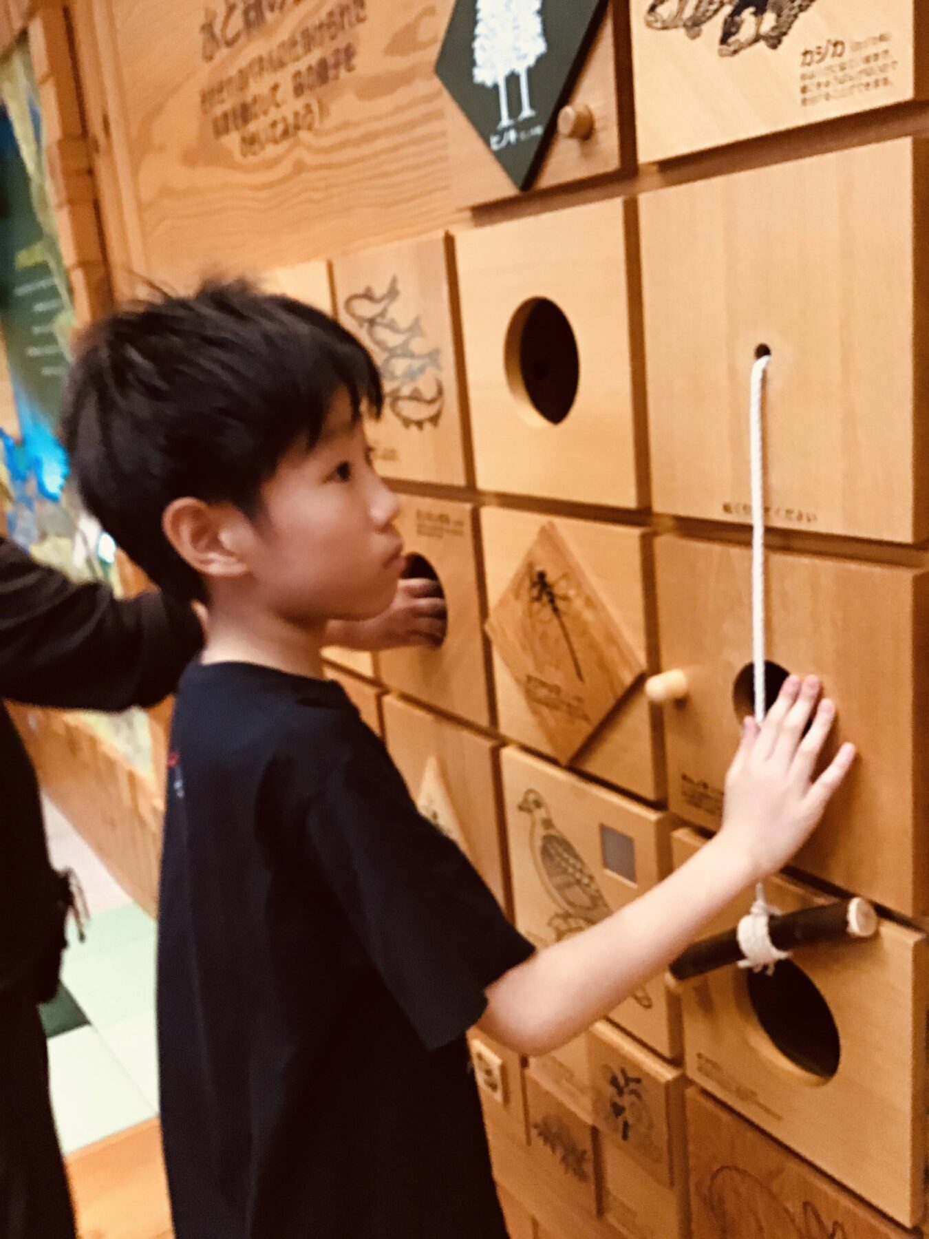 Boy in profile interacting with a wall of wooden boxes featuring round holes and rope pulls, part of a game or activity wall.