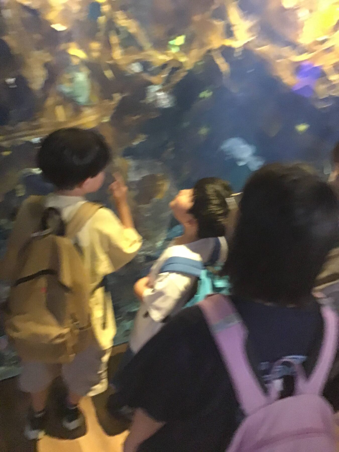 People observe a large, colorful wall display or mural from behind, with several visitors in the foreground wearing backpacks.
