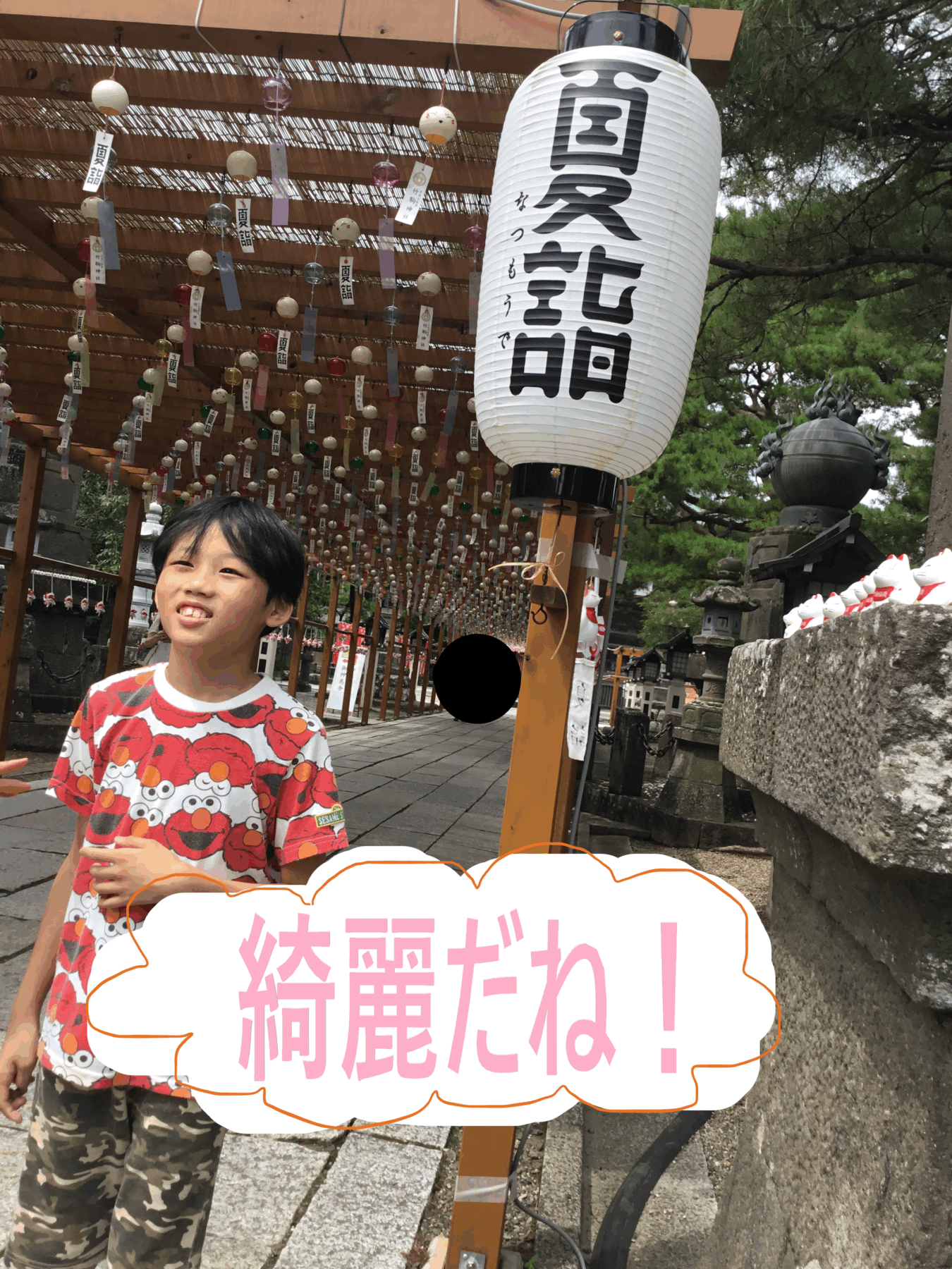 Boy in an Elmo shirt stands along a shrine path, surrounded by hanging lanterns and paper decorations.