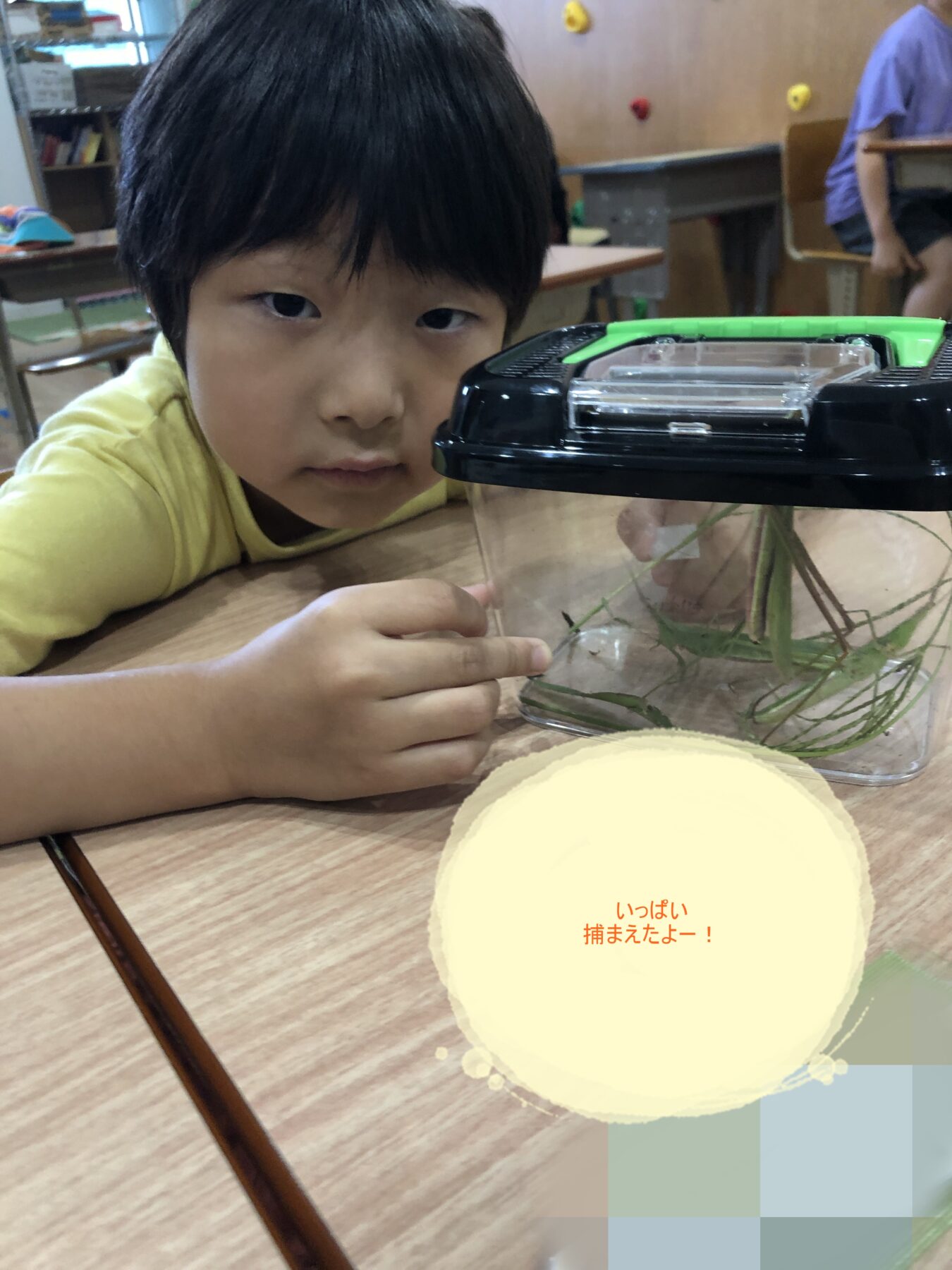 Young boy in a yellow shirt leans on a table, watching a clear container with green plant stems inside.