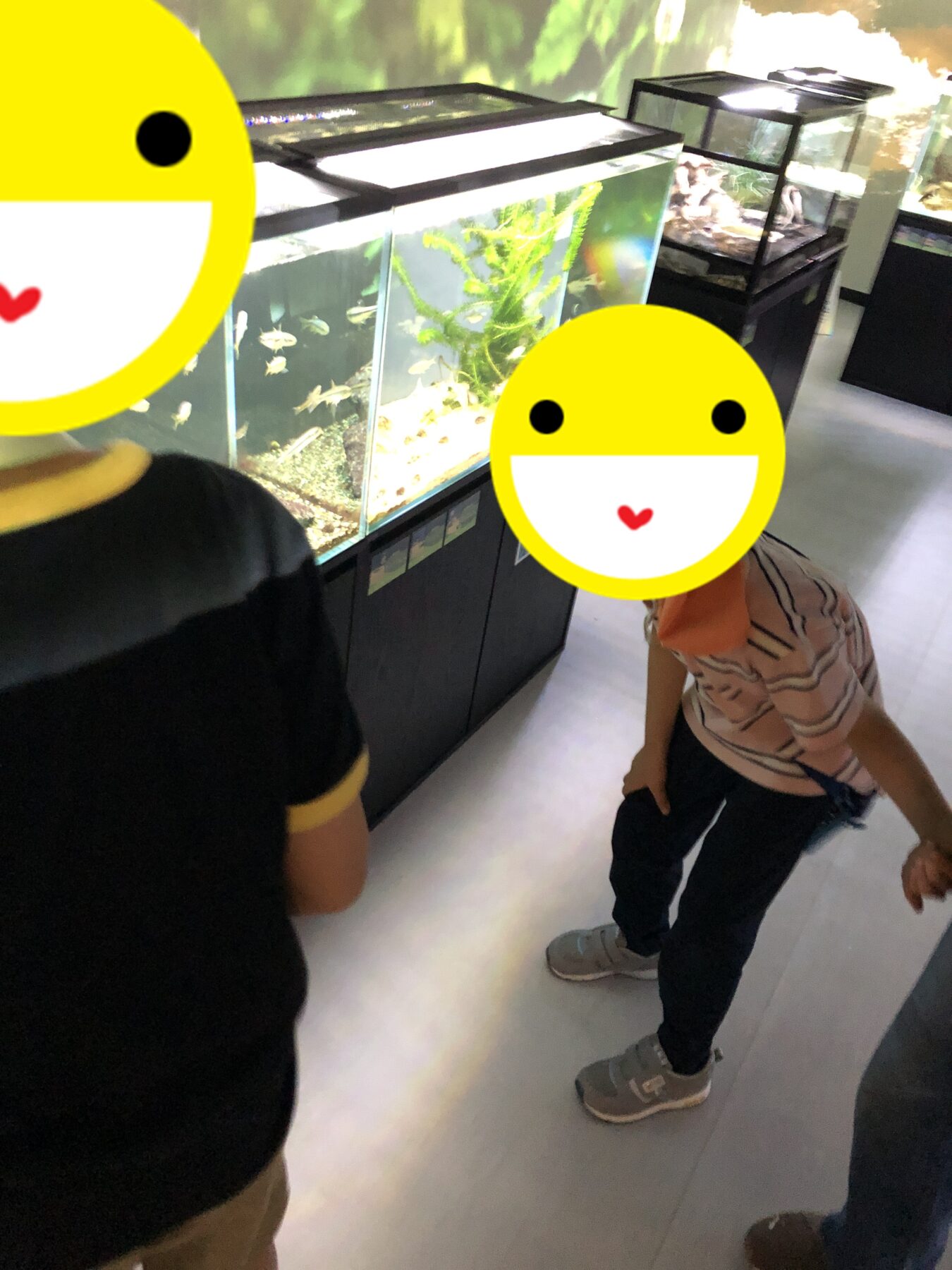 Two children stand by a row of illuminated fish tanks in a pet store, admiring aquatic displays.