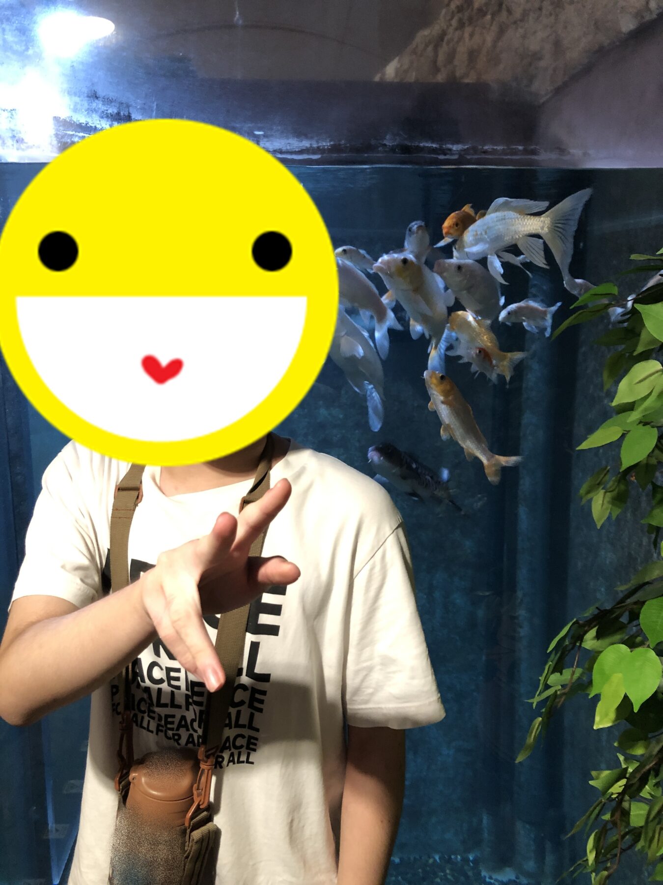 Person in a white T-shirt with a brown strap stands beside a tall aquarium filled with goldfish; a large yellow smiley-face sticker covers their face for privacy or fun.