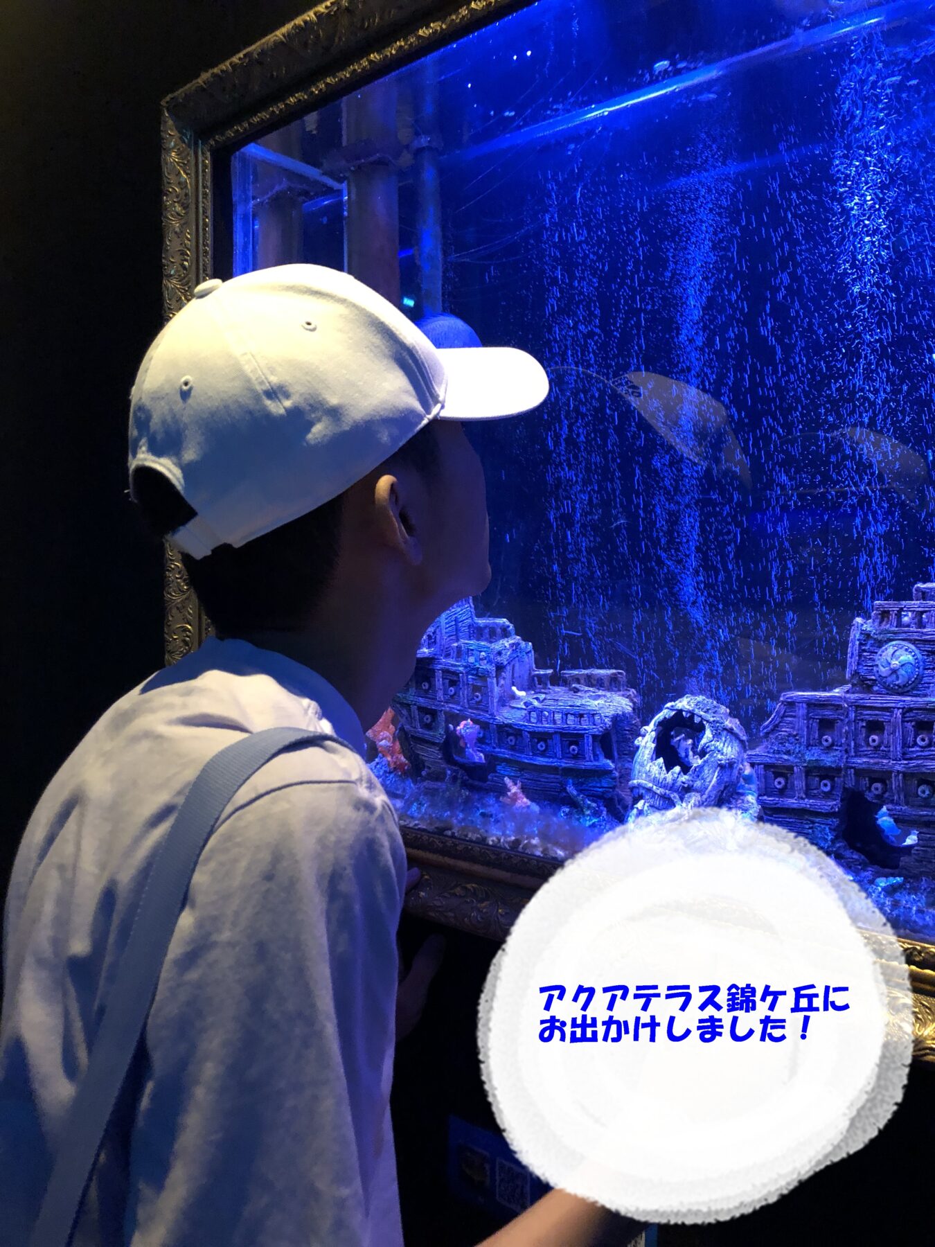 Person in a white baseball cap and light shirt gazing at a blue-lit aquarium display with miniature ship models inside the tank, framed ornate glass.