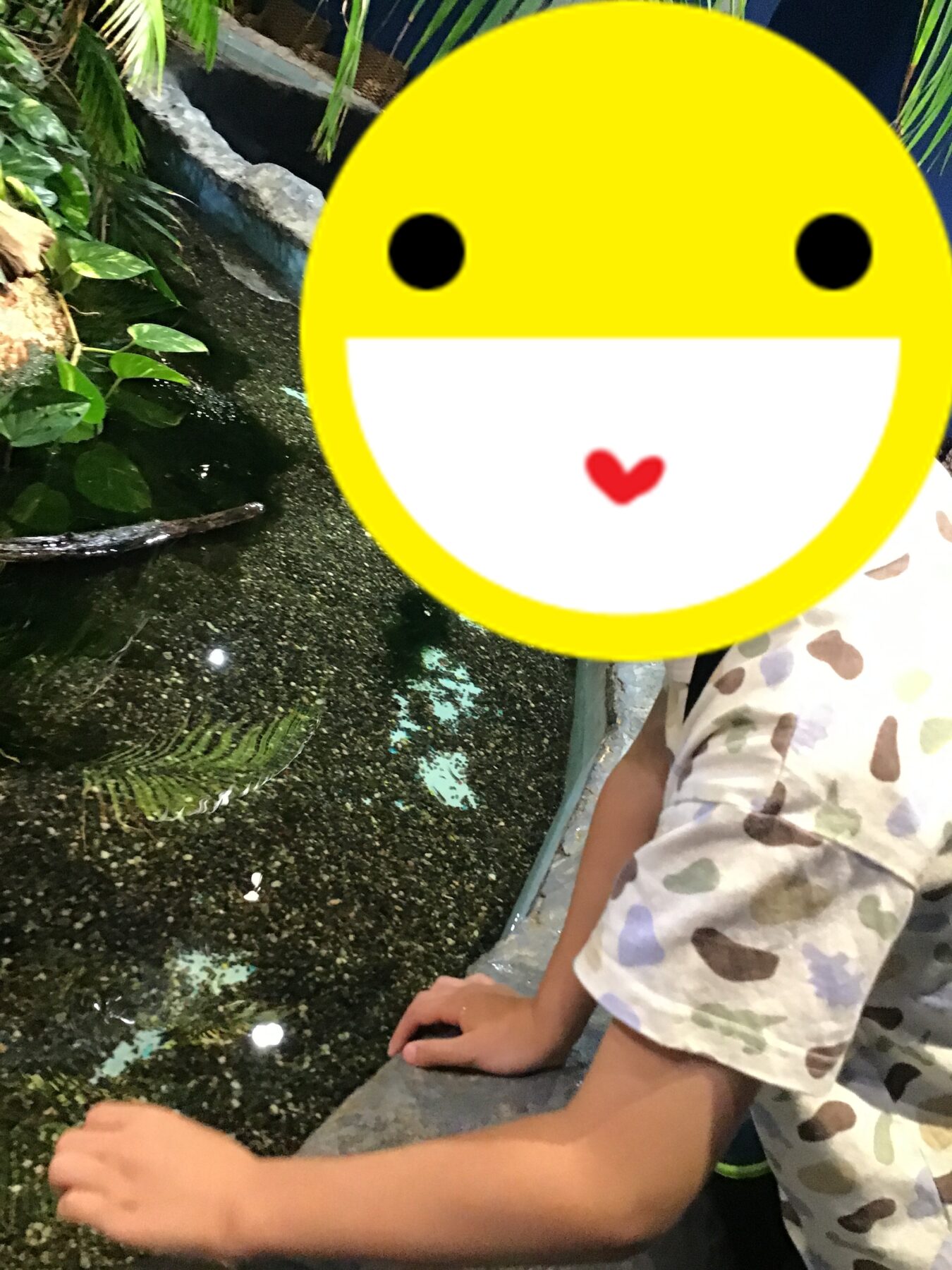 Child standing by a dark pond with green plants on the left; a large yellow smiley overlay covers their face.