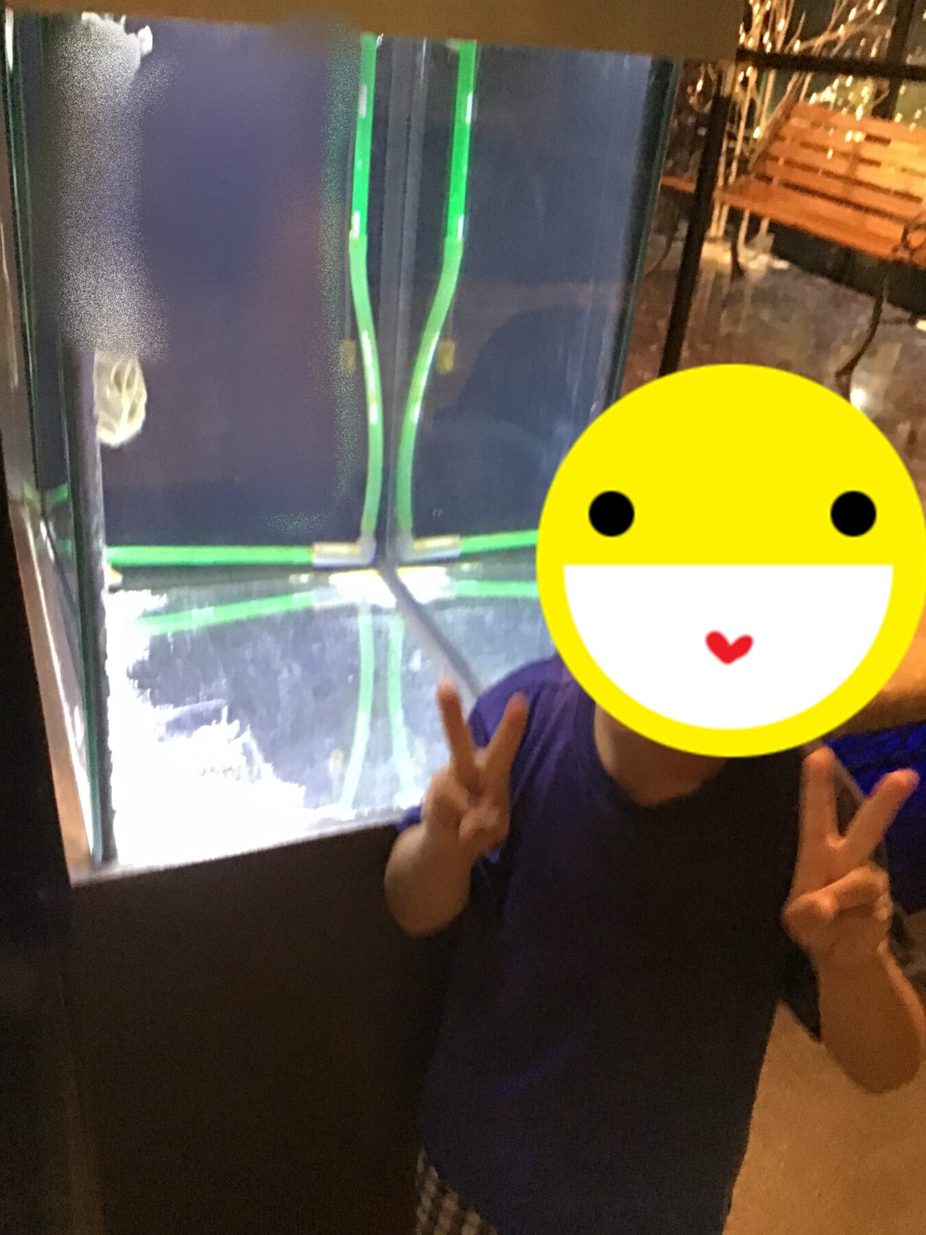 Child in a blue shirt making peace signs with both hands; face covered by a large yellow smiley sticker.