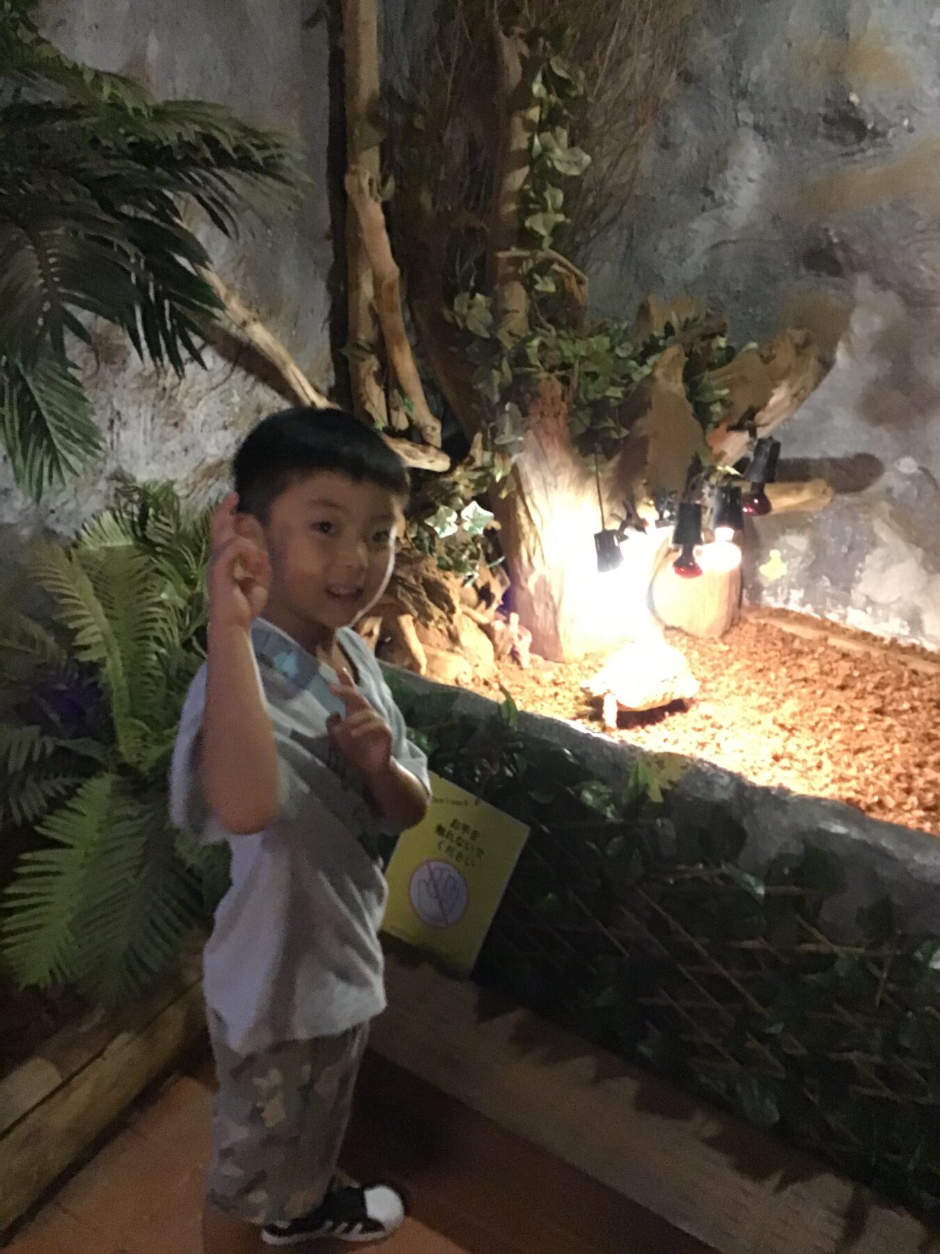 Young boy smiles and waves in a plant-filled indoor garden with warm lights nearby.