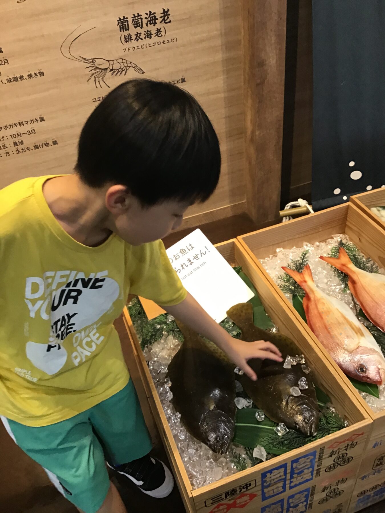 Young boy in a yellow shirt touching a large fish on ice at a seafood market display