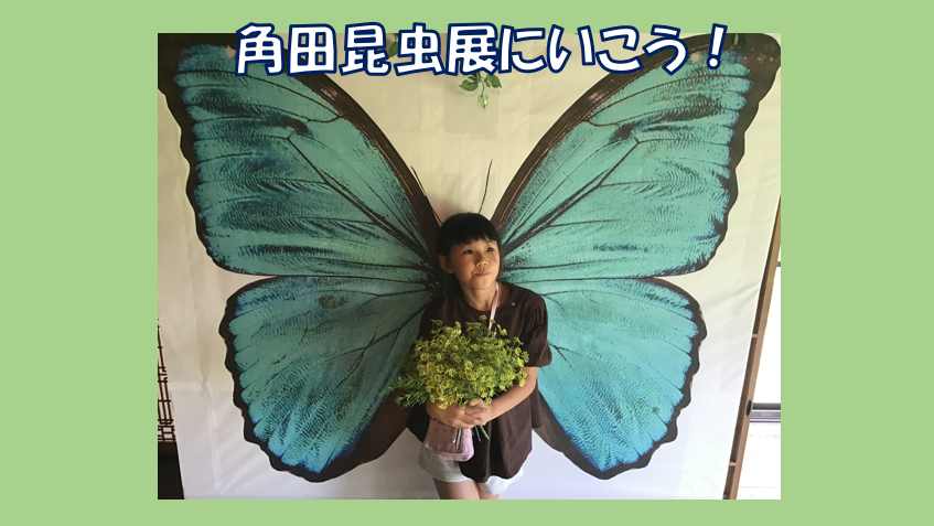 Girl standing in front of a large blue butterfly backdrop, holding a bouquet of yellow flowers; banner with Japanese text above.