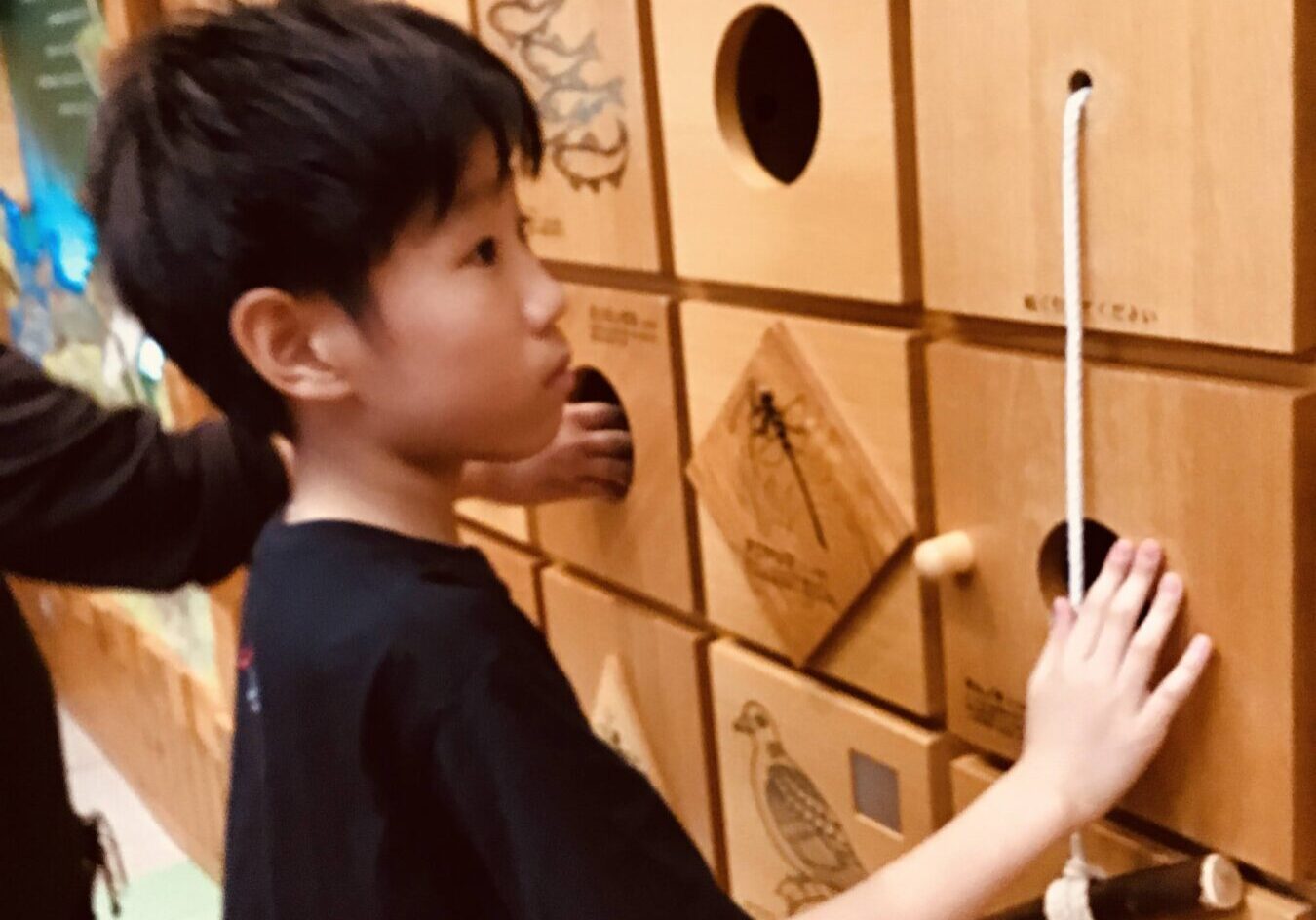 Boy in profile interacting with a wall of wooden boxes featuring round holes and rope pulls, part of a game or activity wall.